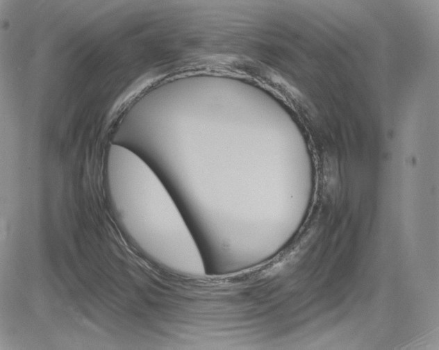 X0000082751354200701261045