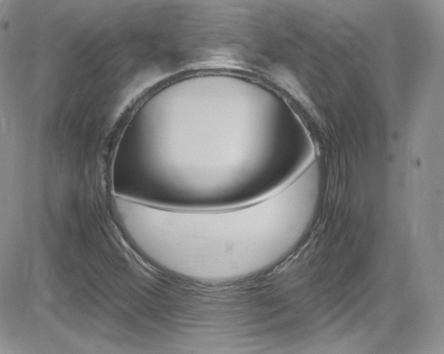 X0000082751356200701261045