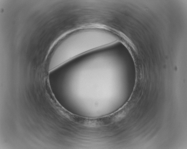 X0000082751364200701261045