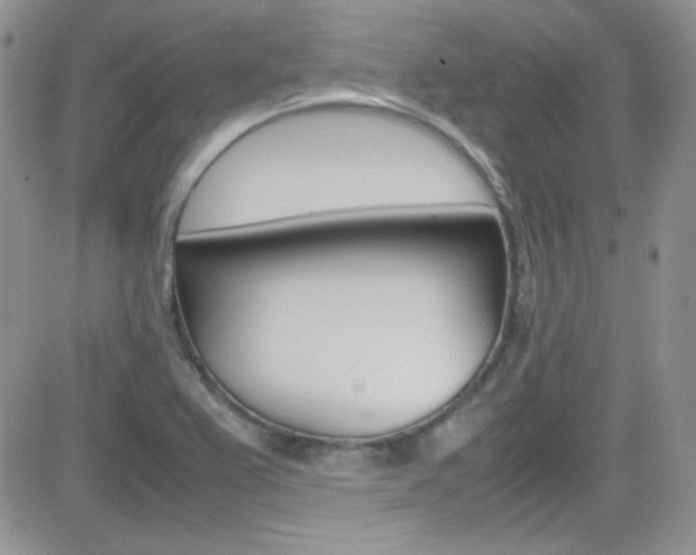 X0000082751367200701261045