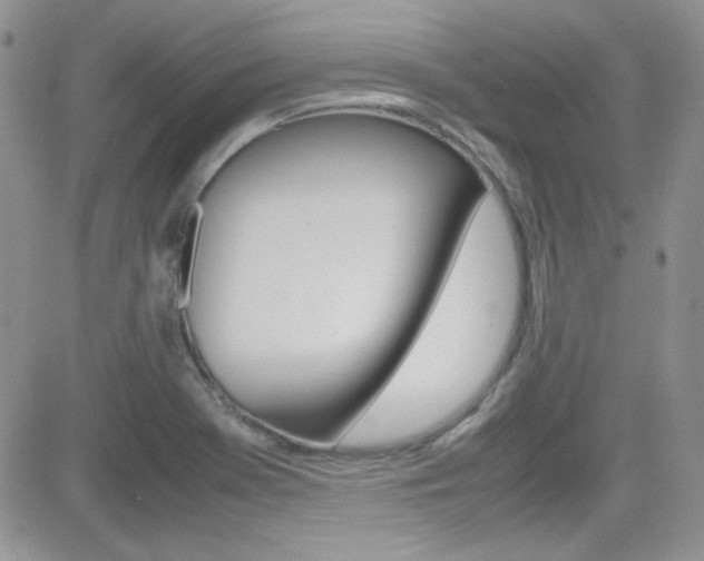 X0000082751369200701261045