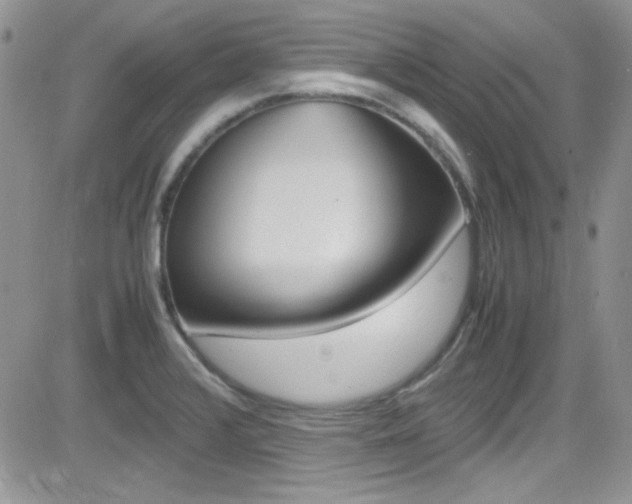X0000082751376200701261045
