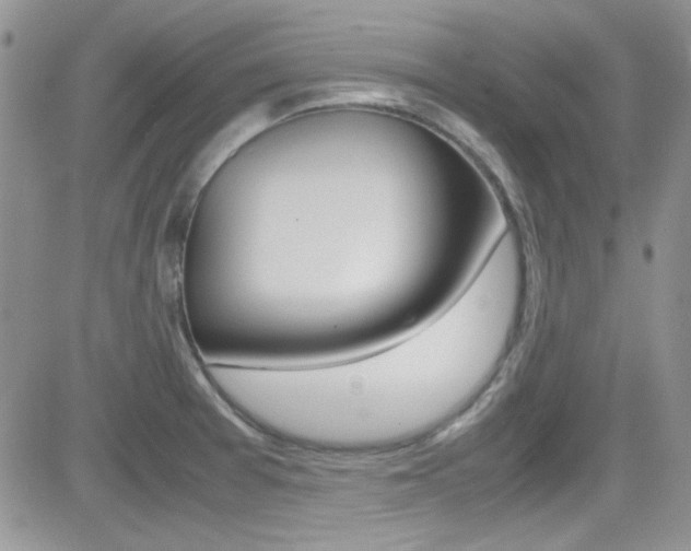 X0000082751377200701261045