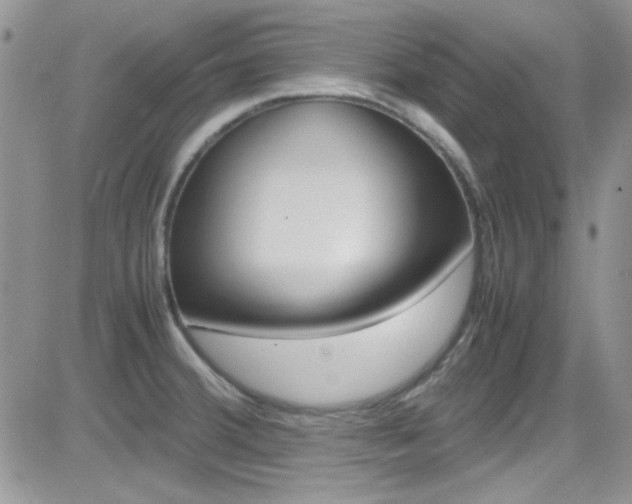 X0000082751380200701261045