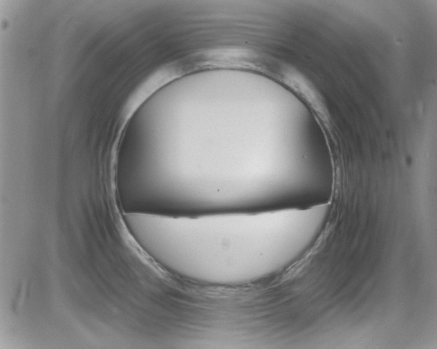 X0000082751386200701261045