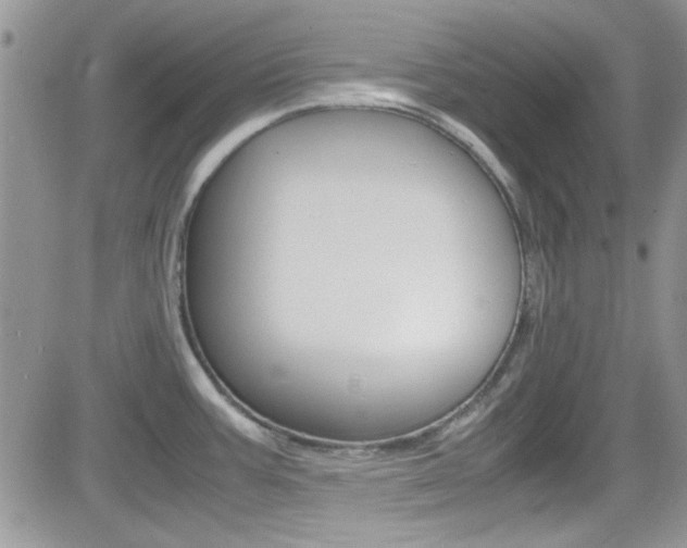 X0000082751387200701261045