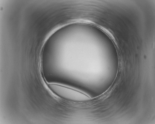 X0000082751391200701261045