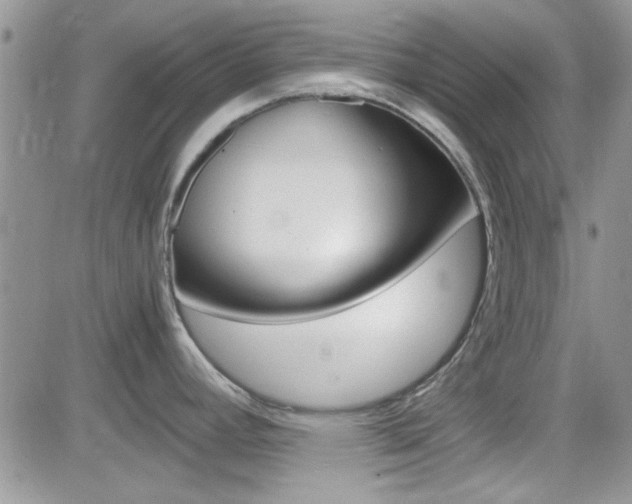 X0000082751392200701261045