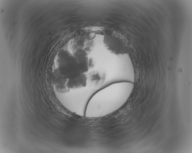 X0000082751393200701261044