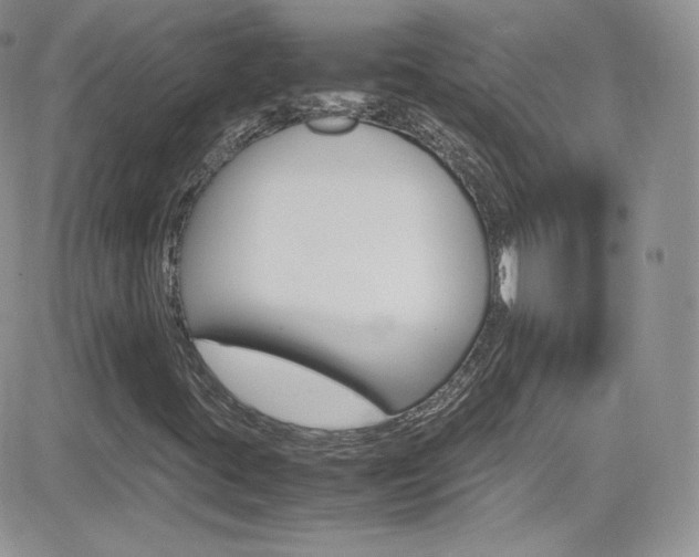 X0000082751395200701261044