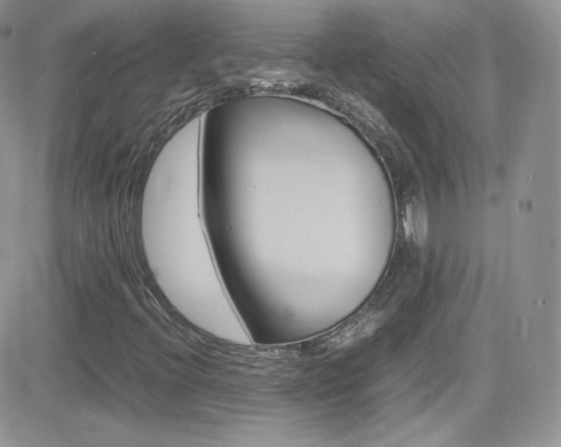 X0000082751396200701261044