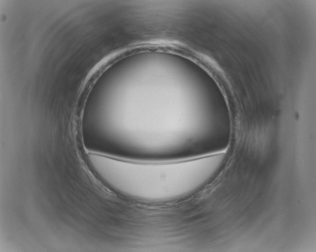 X0000082751412200701261044