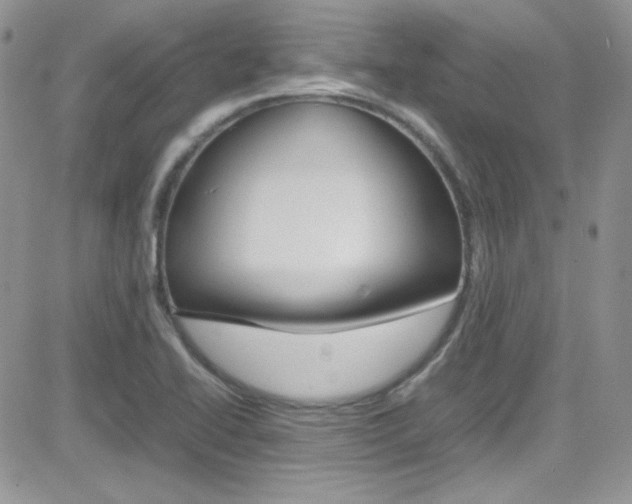 X0000082751414200701261044