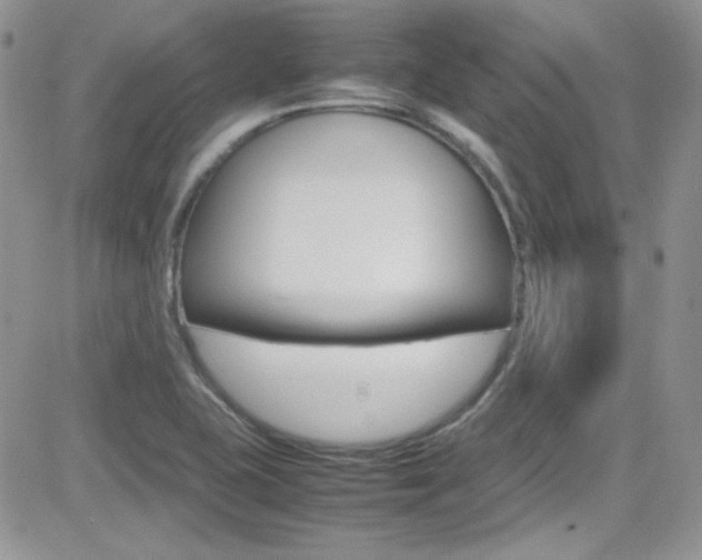 X0000082751415200701261044