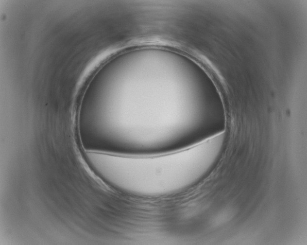 X0000082751416200701261044