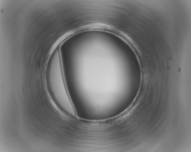 X0000082751418200701261044