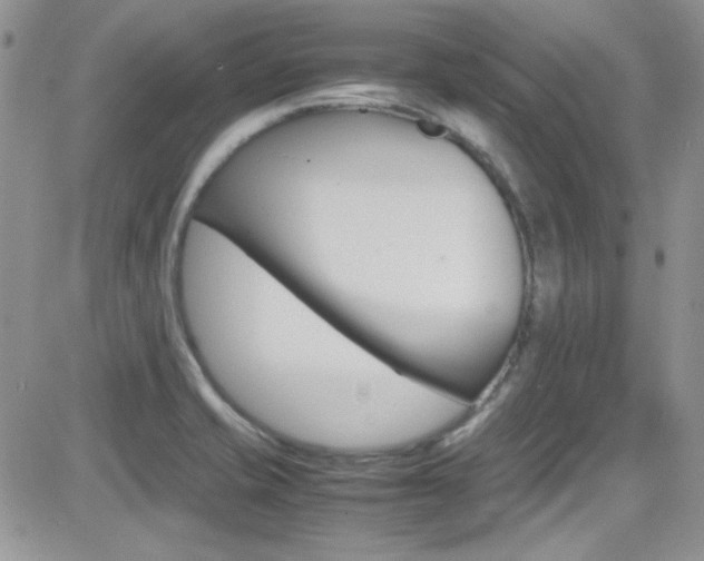 X0000082751421200701261044