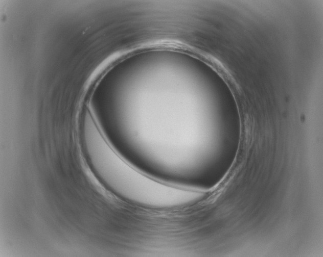 X0000082751422200701261044
