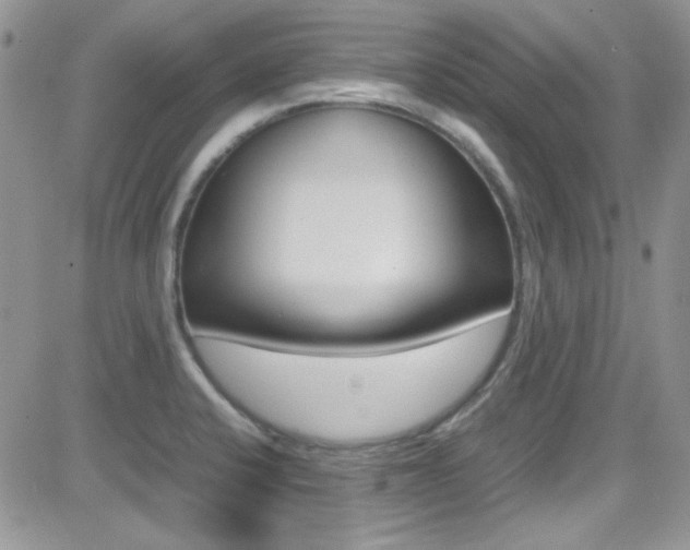 X0000082751424200701261044