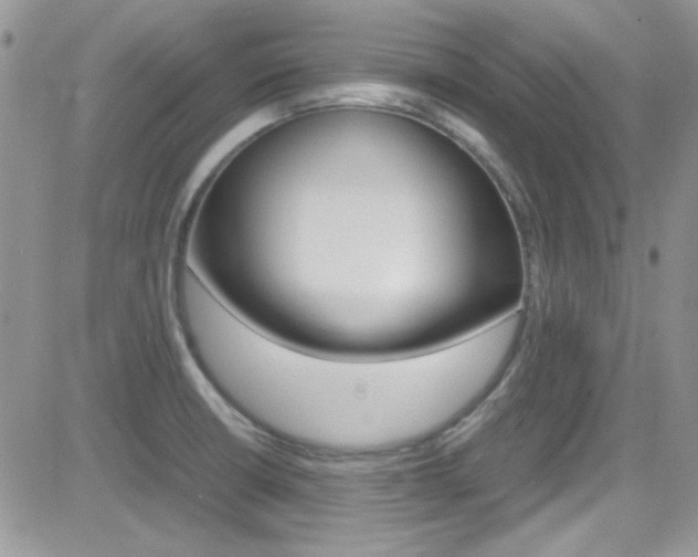 X0000082751426200701261044