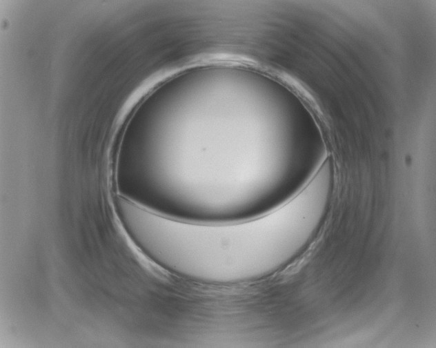 X0000082751430200701261044