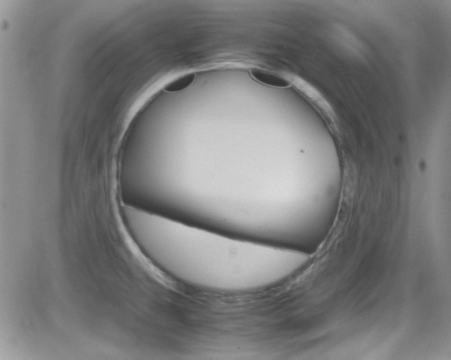X0000082751431200701261044