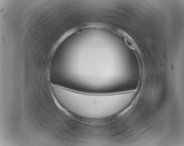 X0000082751433200701261044