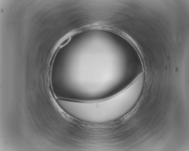 X0000082751434200701261044