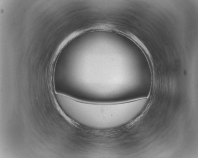 X0000082751437200701261044