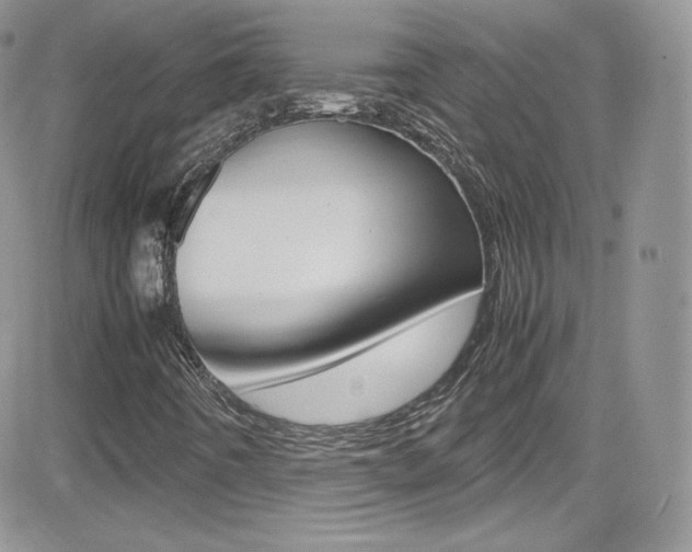X0000082751442200701261044