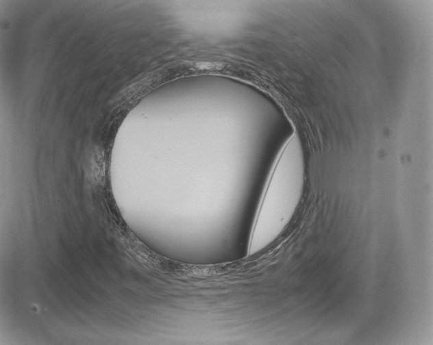 X0000082751443200701261044