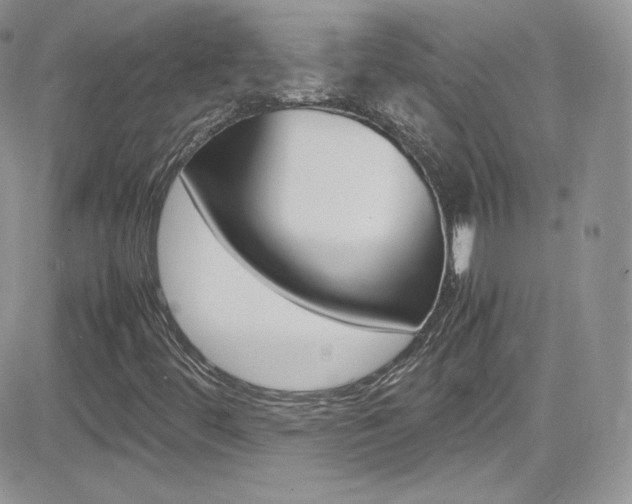 X0000082751444200701261044