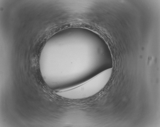X0000082751445200701261044