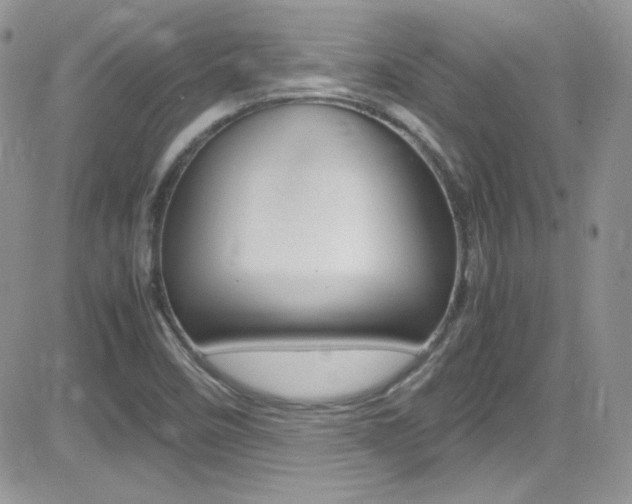X0000082751458200701261043