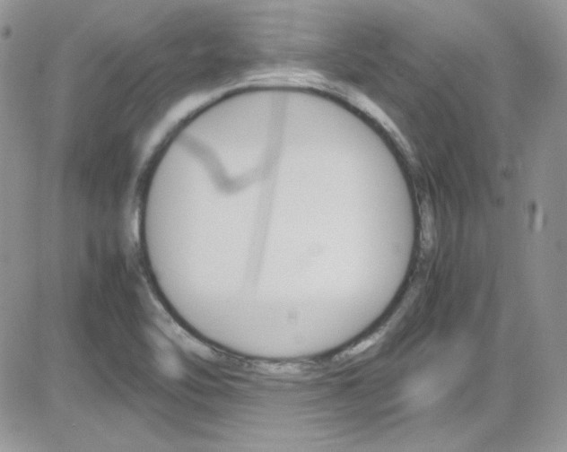 X0000082751462200701261043