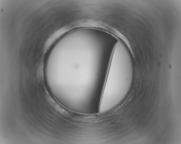 X0000082751464200701261043