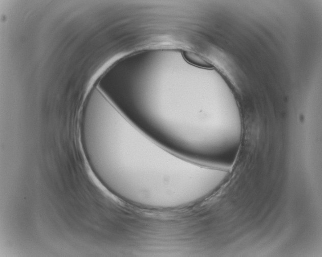 X0000082751476200701261043