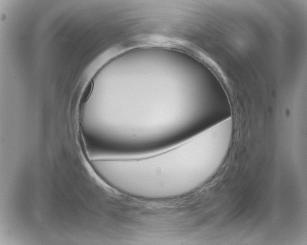 X0000082751479200701261043
