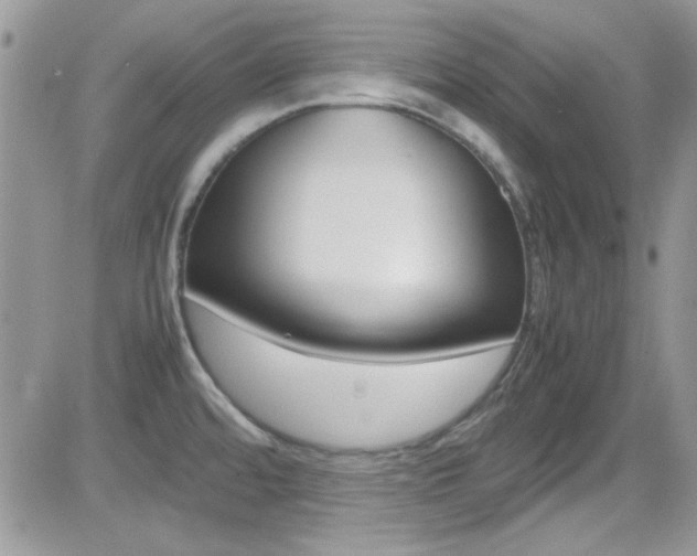 X0000082751480200701261043