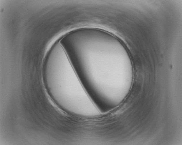 X0000082751511200701261043