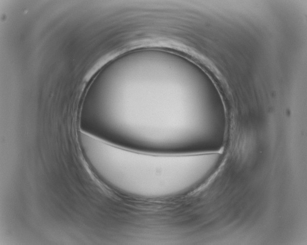 X0000082751513200701261043