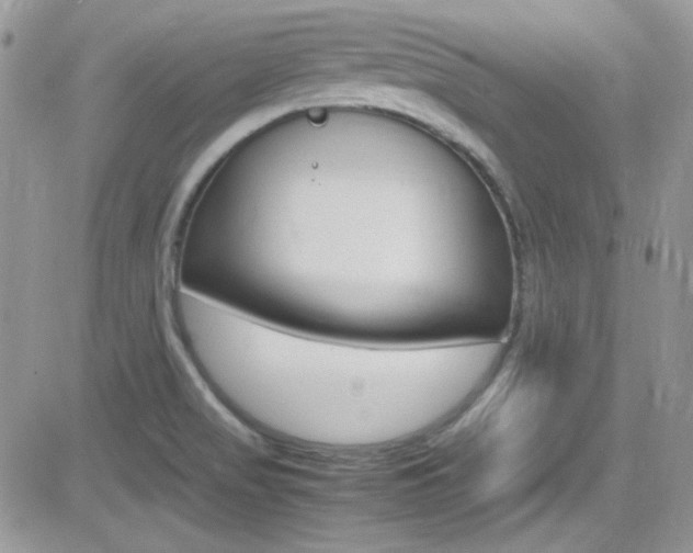 X0000082751517200701261043