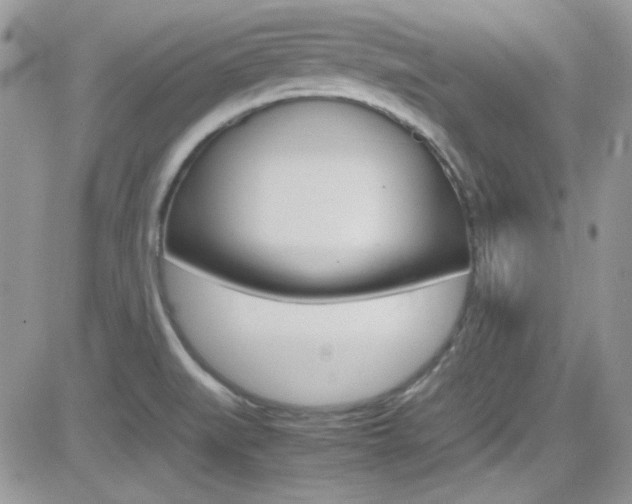 X0000082751519200701261043