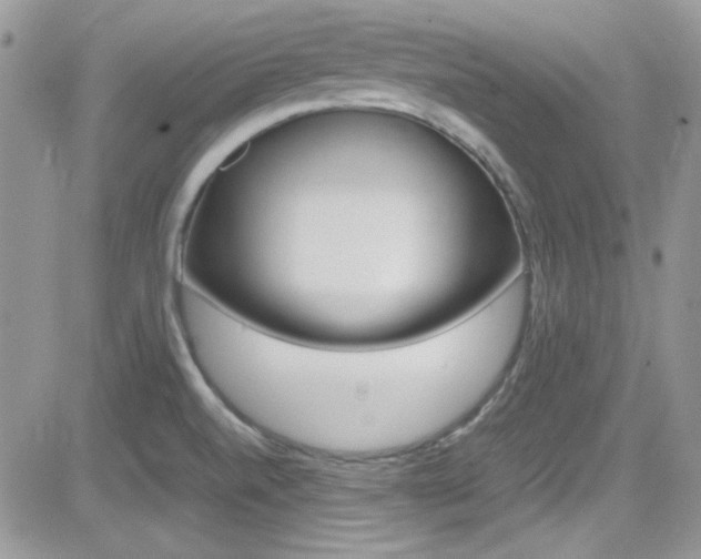 X0000082751520200701261043