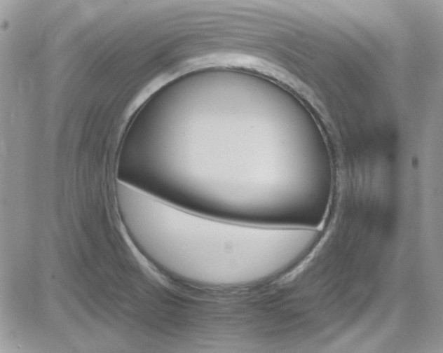 X0000082751521200701261043