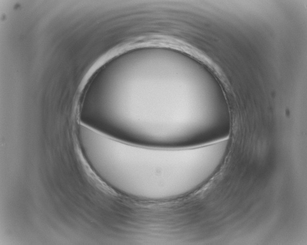 X0000082751522200701261043
