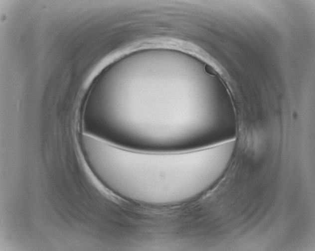 X0000082751523200701261043