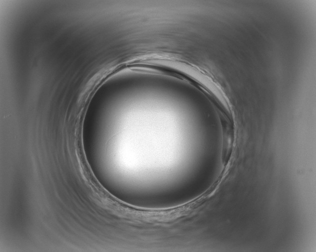 X0000082750001200701261519