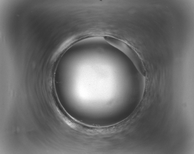 X0000082750005200701261519