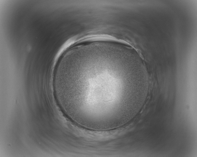 X0000082750006200701261519